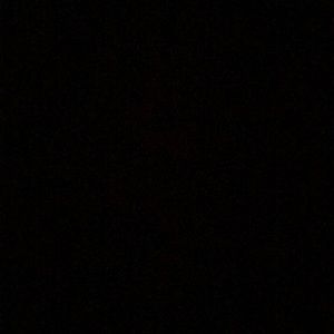 Meet your Posher, Gracie